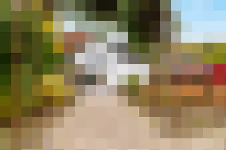 Sint Martinusstraat 3 Linne thumbnail 40