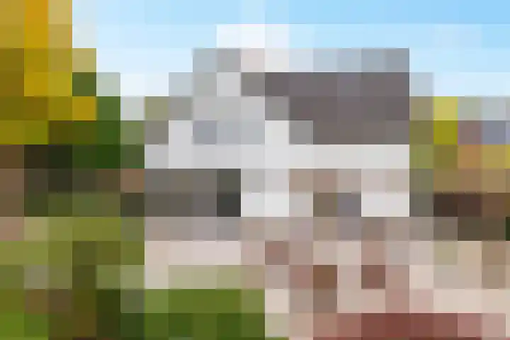 Sint Martinusstraat 3 Linne thumbnail 41