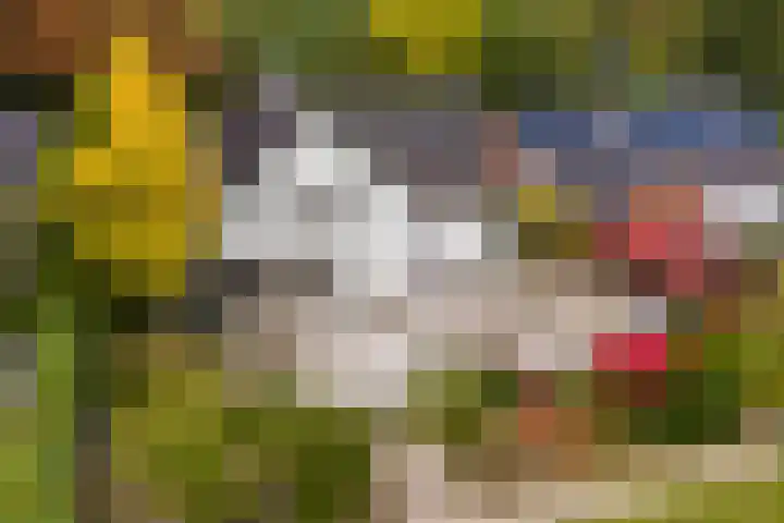 Sint Martinusstraat 3 Linne thumbnail 42