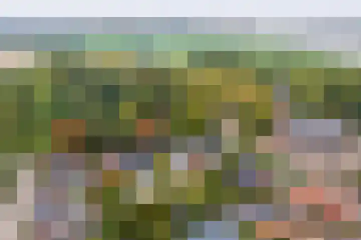 Sint Martinusstraat 3 Linne thumbnail 45