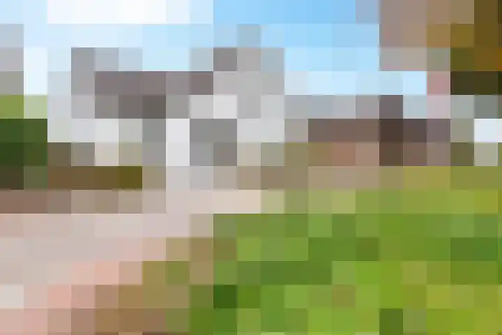 Sint Martinusstraat 3 Linne thumbnail 49