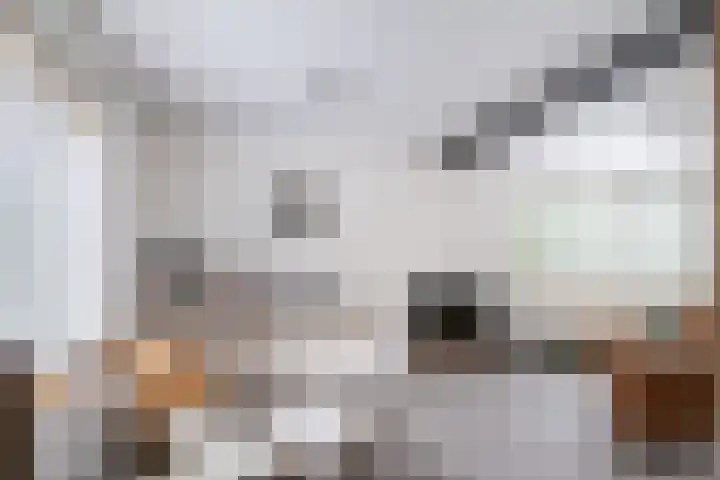 Sint Martinusstraat 3 Linne thumbnail 5