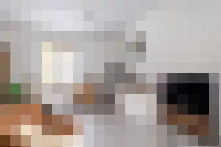 Sint Martinusstraat 3 Linne thumbnail 6
