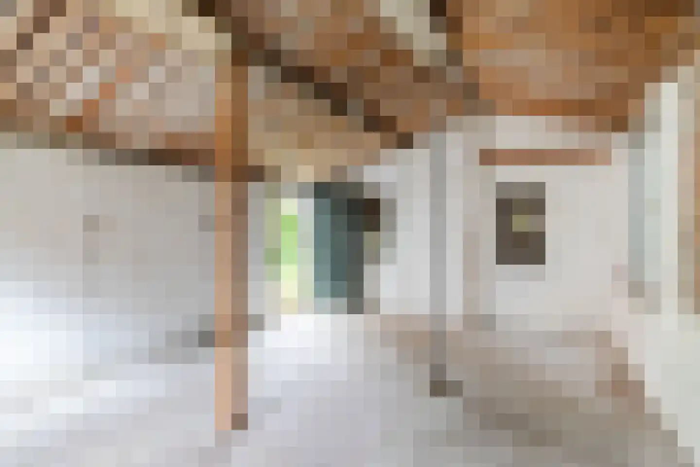 Sint Martinusstraat 30 Rucphen thumbnail 49