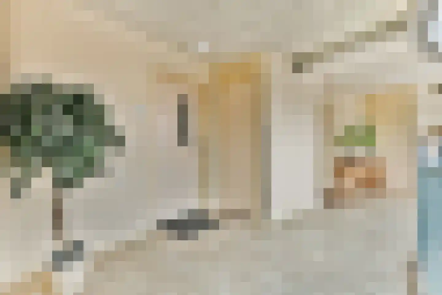 Sint Martinusstraat 301 Naaldwijk thumbnail 17