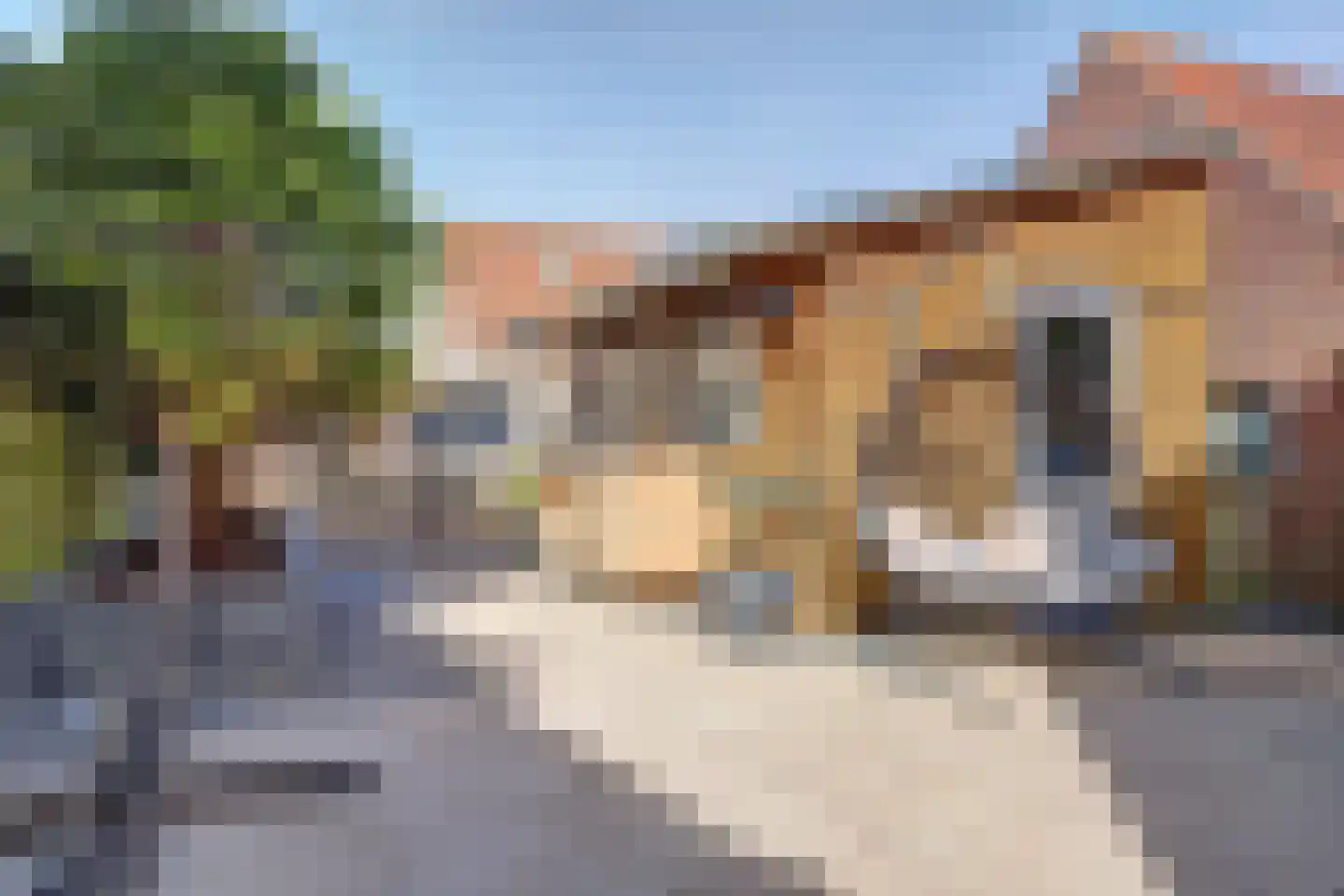Sint Martinusstraat 32 Bovenkarspel thumbnail 28