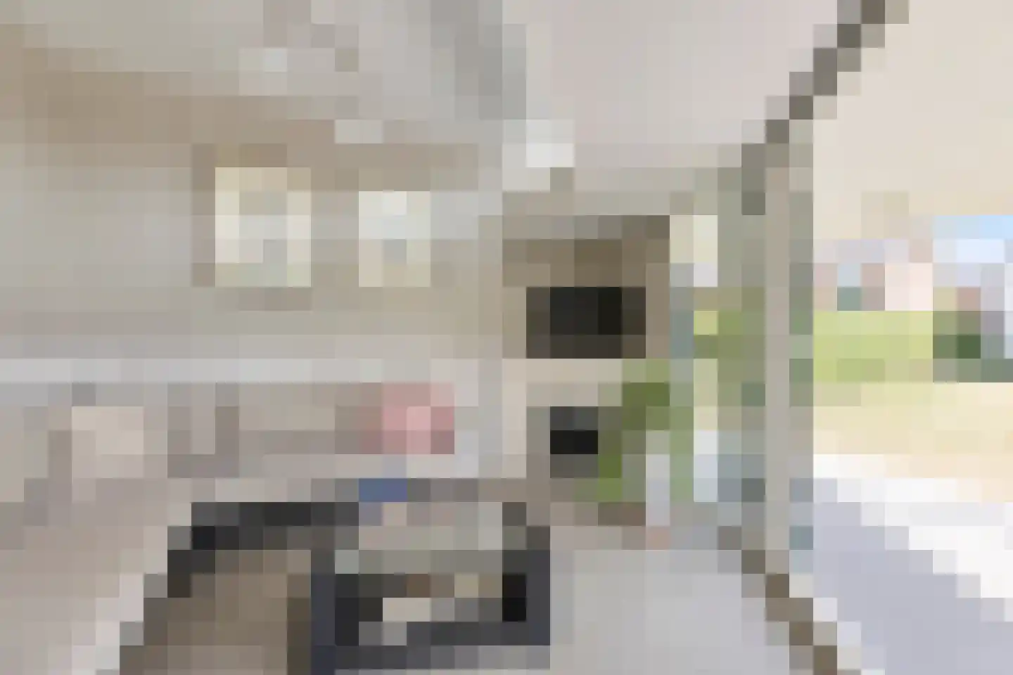 Sint Martinusstraat 40 Beek thumbnail 23