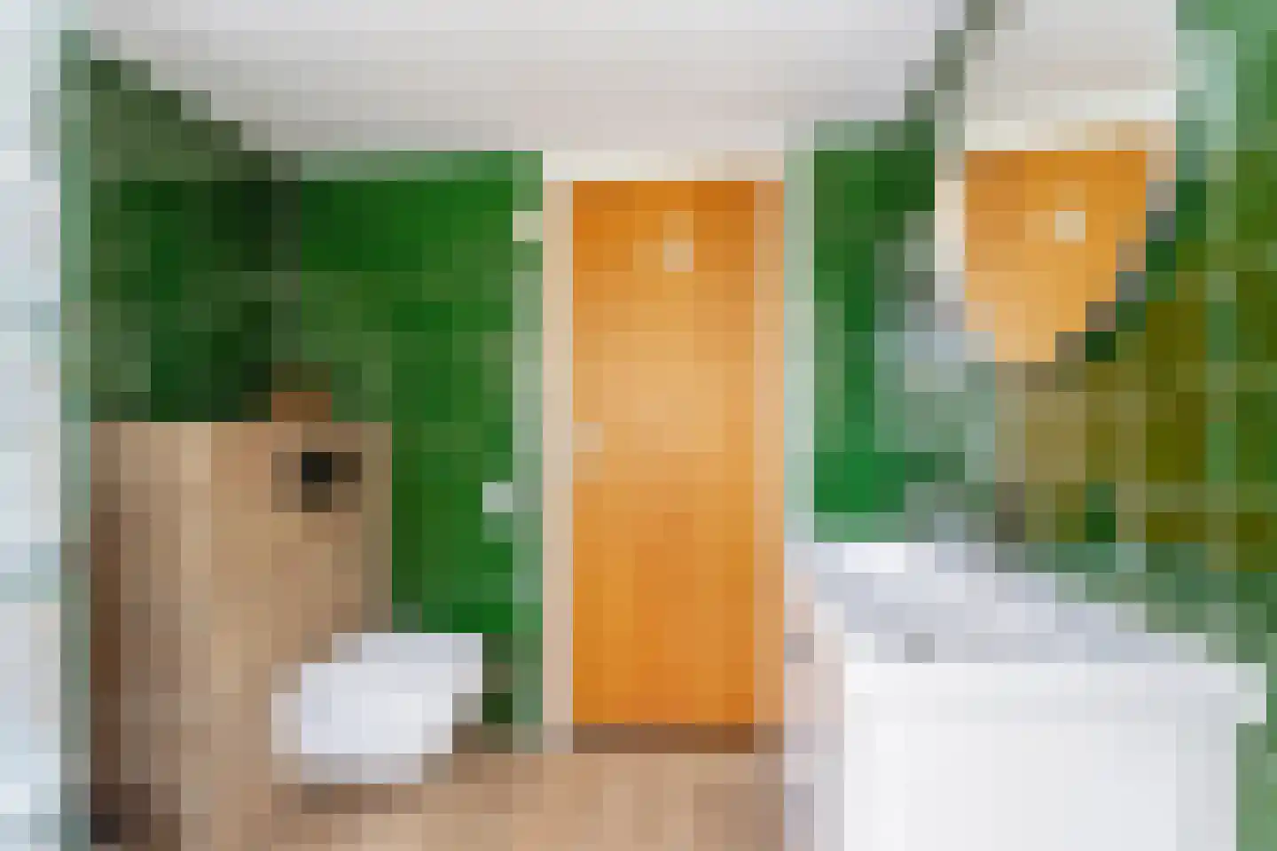 Sint Martinusstraat 44 Beek thumbnail 39