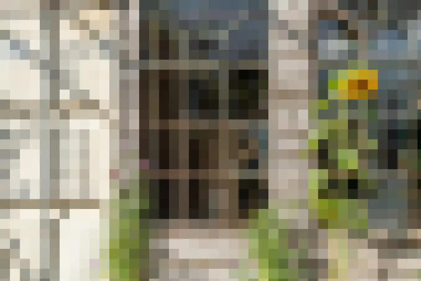 Sint Martinusstraat 44 Beek thumbnail 53
