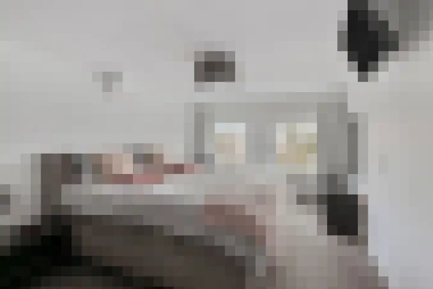 Sint Martinusstraat 45 Beek thumbnail 14