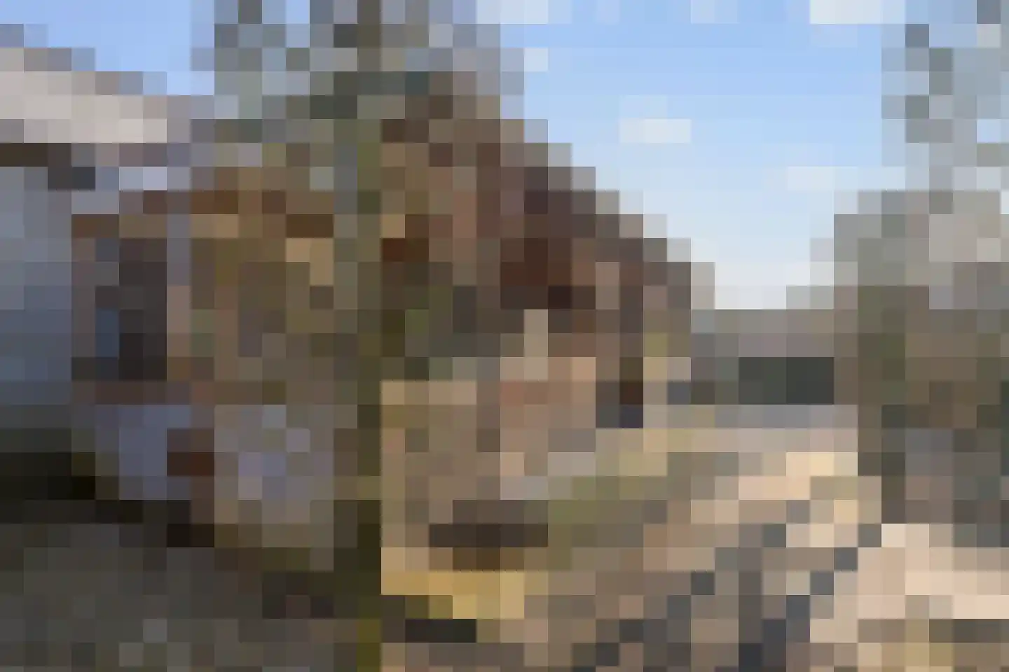Sint Martinusstraat 45 Beek thumbnail 38