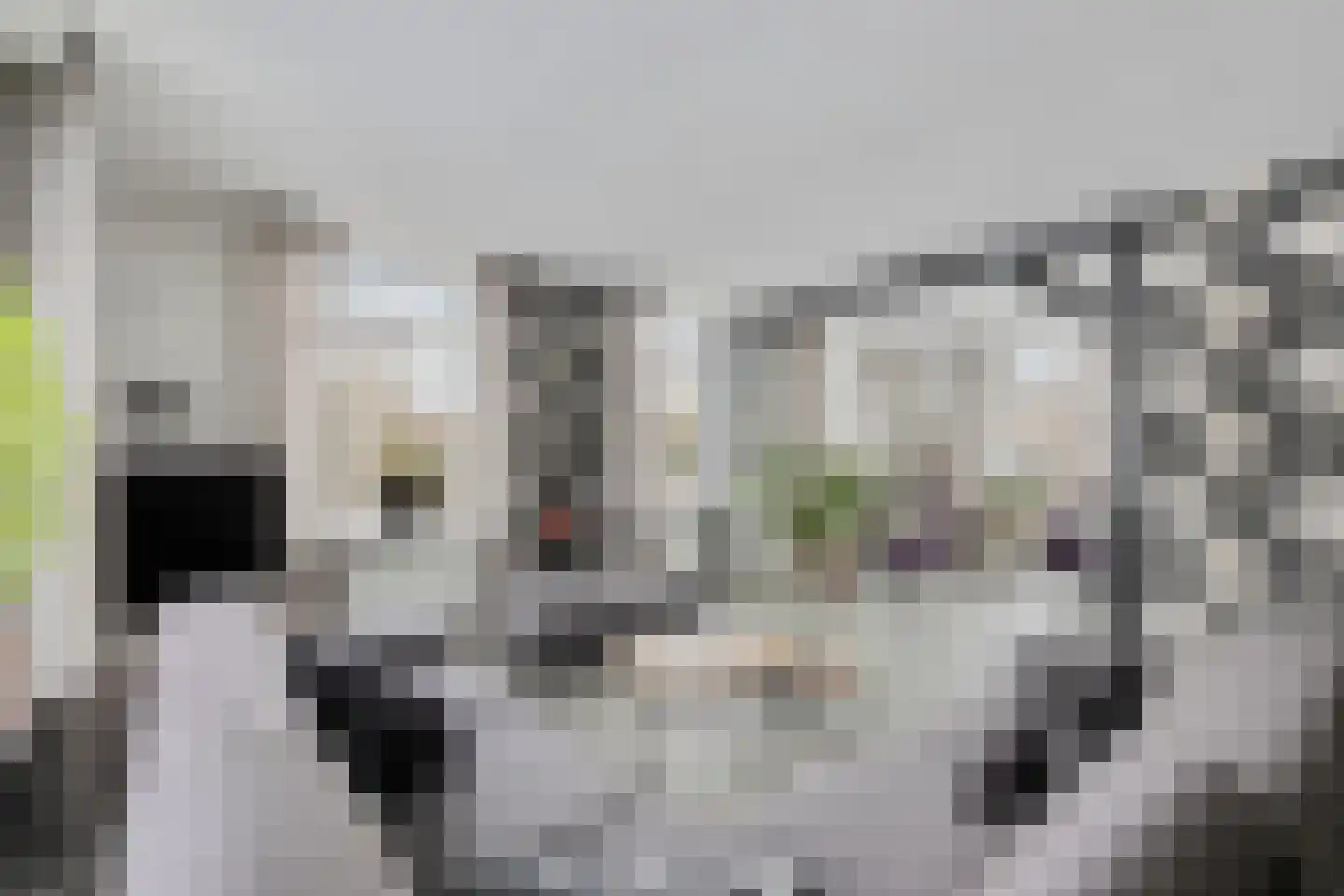 Sint Martinusstraat 45 Beek thumbnail 4