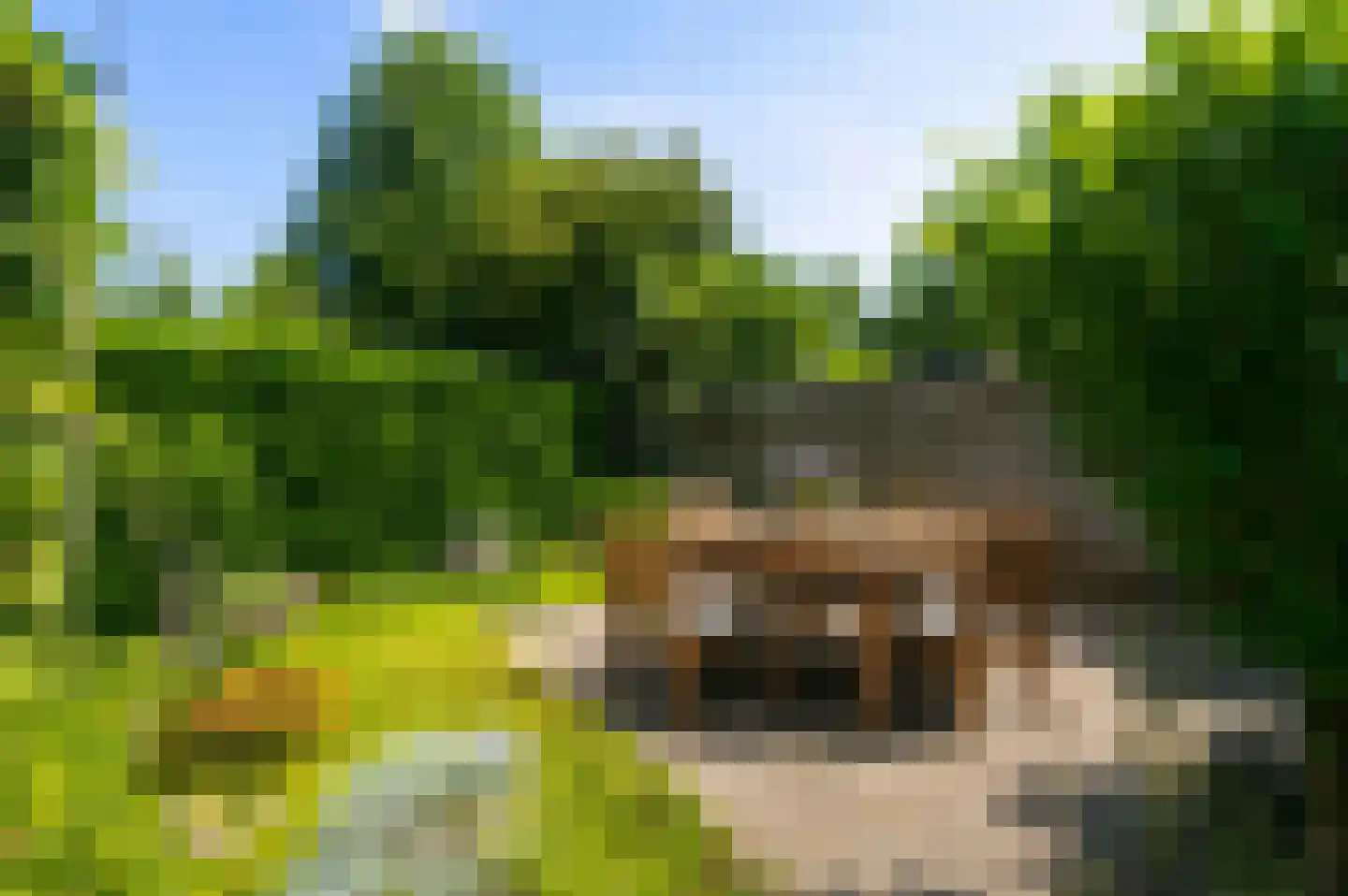 Sint Martinusstraat 45 Beek thumbnail 44