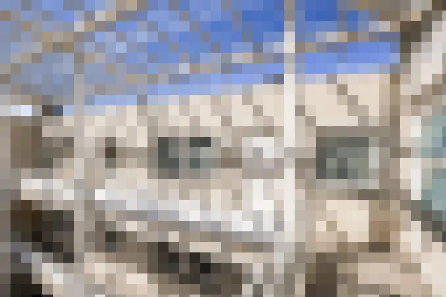 Sint Martinusstraat 63 Naaldwijk thumbnail 25