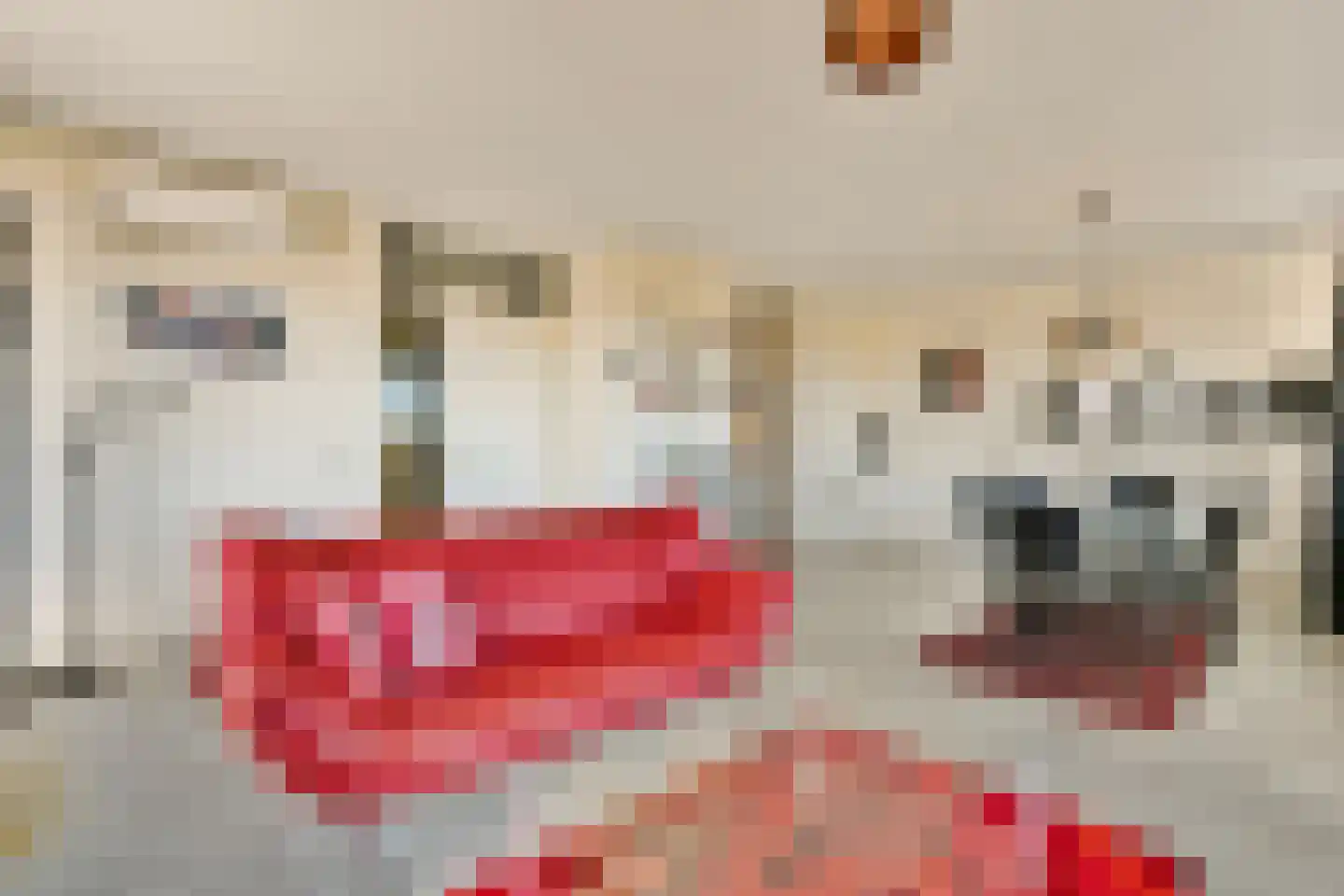 Sint Martinusstraat 63 Naaldwijk thumbnail 8