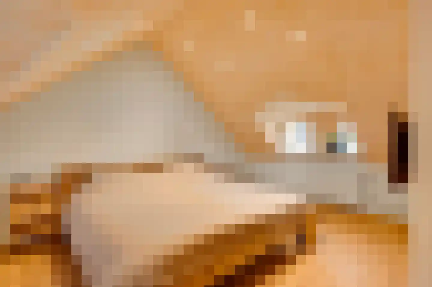 Sint Maternusstraat 8 Maastricht thumbnail 38