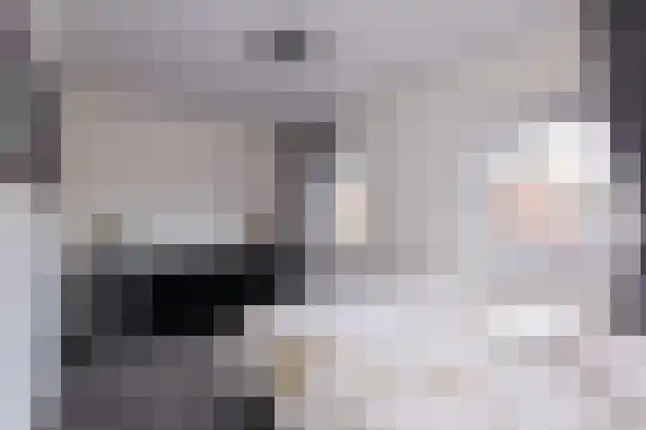 Sint Matthijsstraat 19 Nibbixwoud thumbnail 25