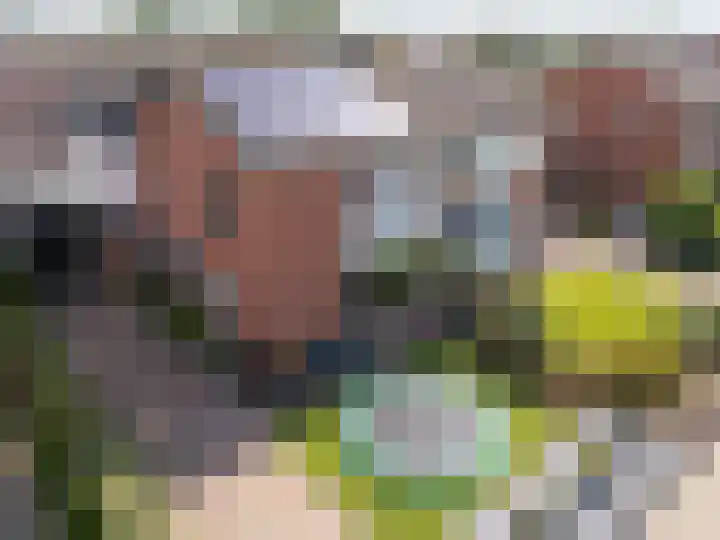 Sint Matthijsstraat 19 Nibbixwoud thumbnail 6