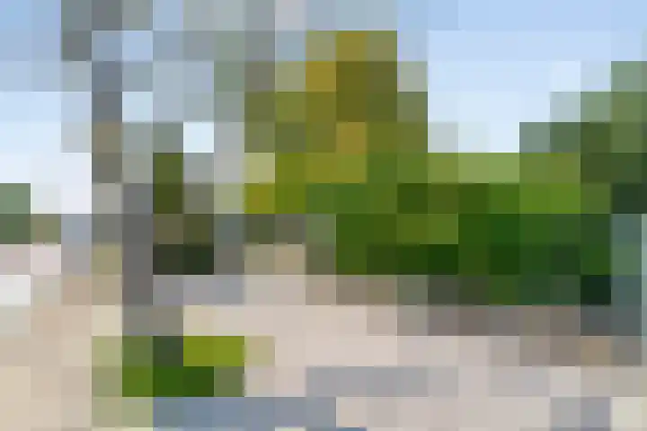 Sint Matthijsstraat 29 Nibbixwoud thumbnail 23
