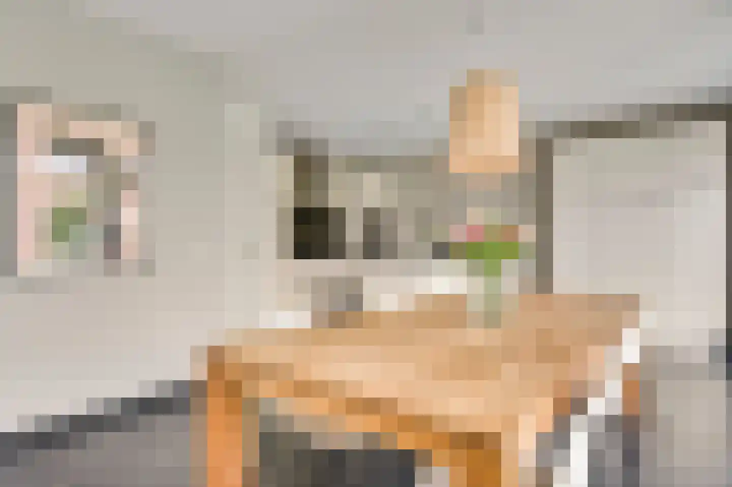 Sint Michaëllaan 2 Herten thumbnail 14