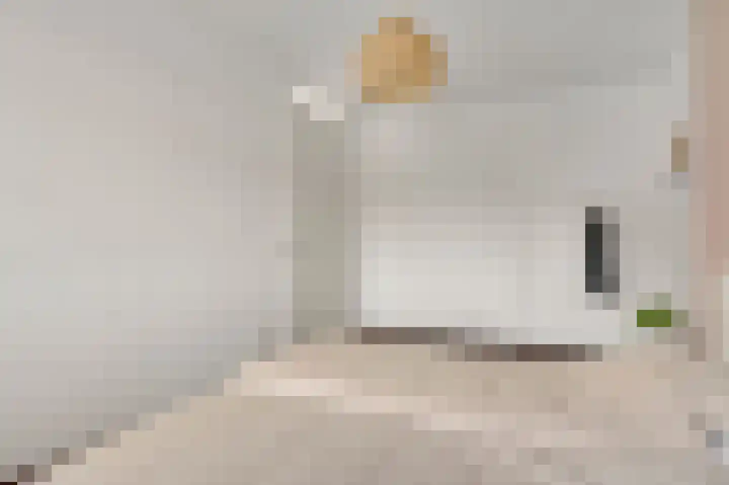 Sint Michaëllaan 2 Herten thumbnail 27