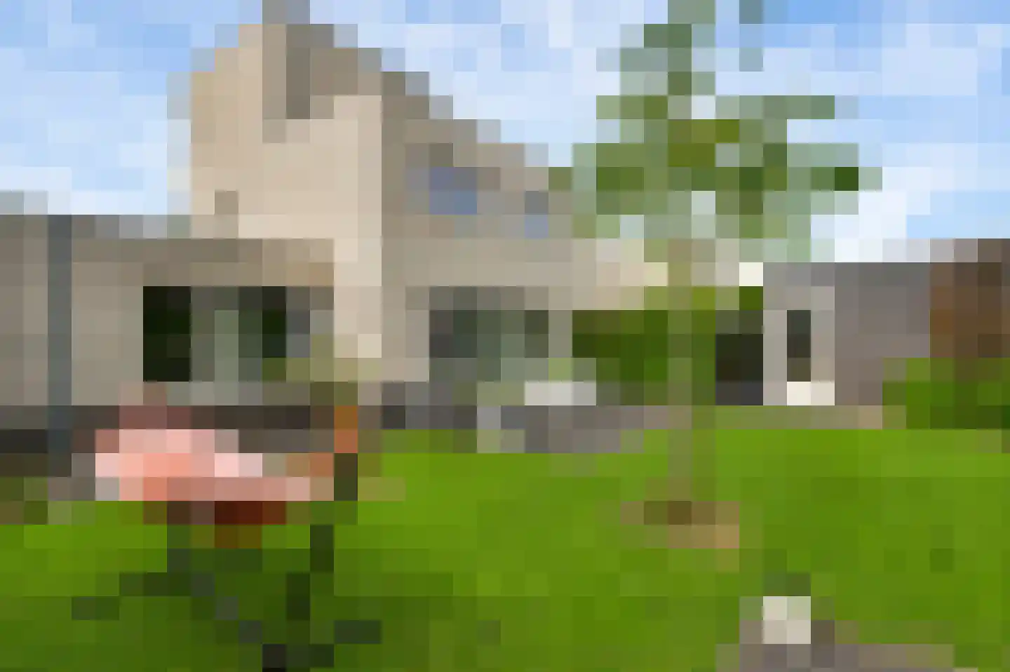 Sint Michaëllaan 2 Herten thumbnail 44