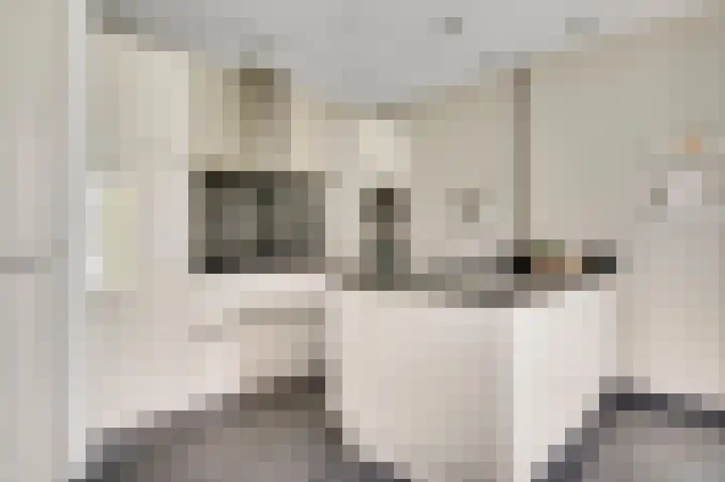 Sint Michaëllaan 2 Herten thumbnail 9