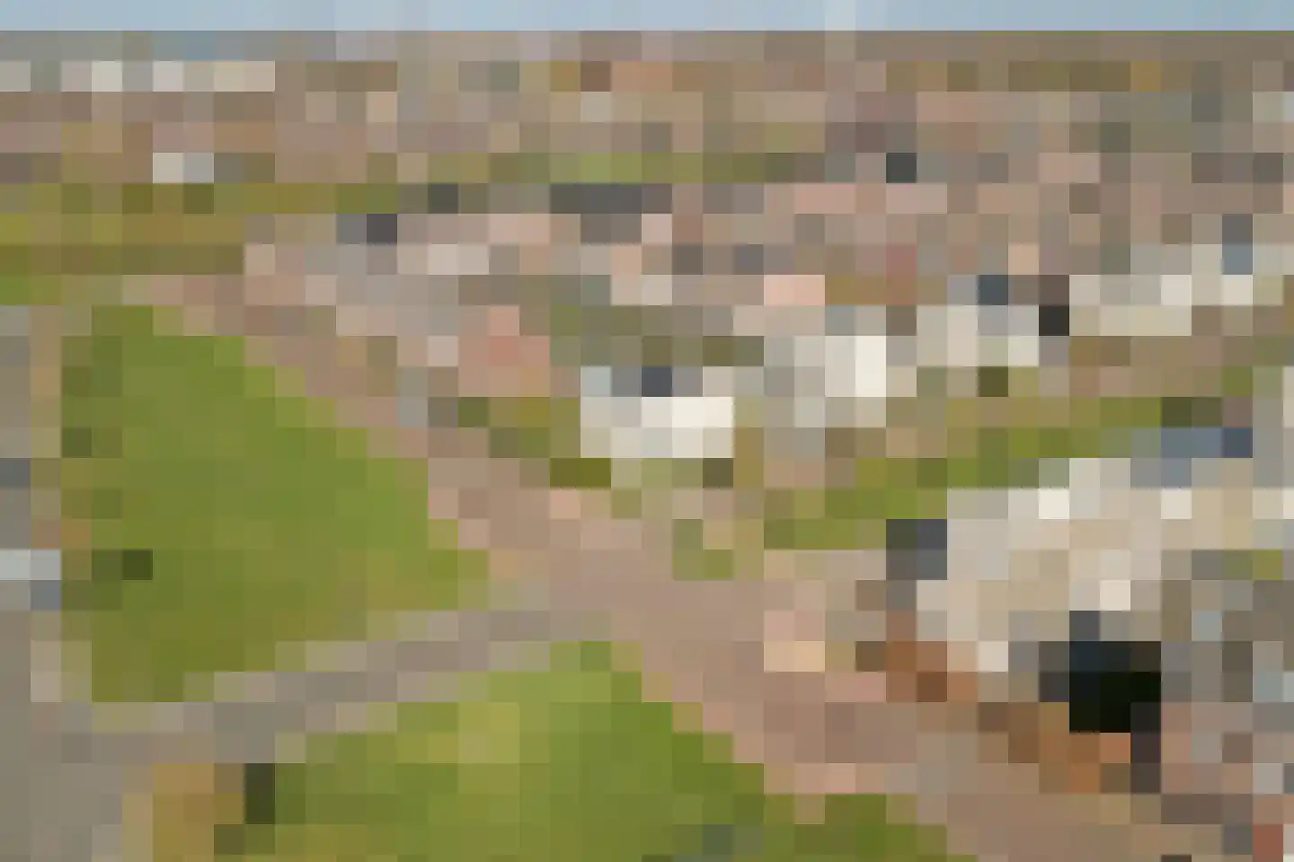 Sint Michaëllaan 20 Herten thumbnail 51