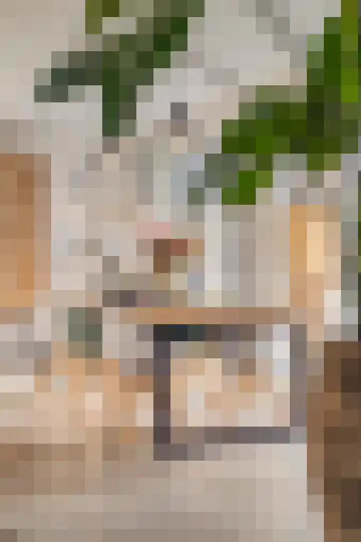 Sint Michaëllaan 24 Herten thumbnail 13