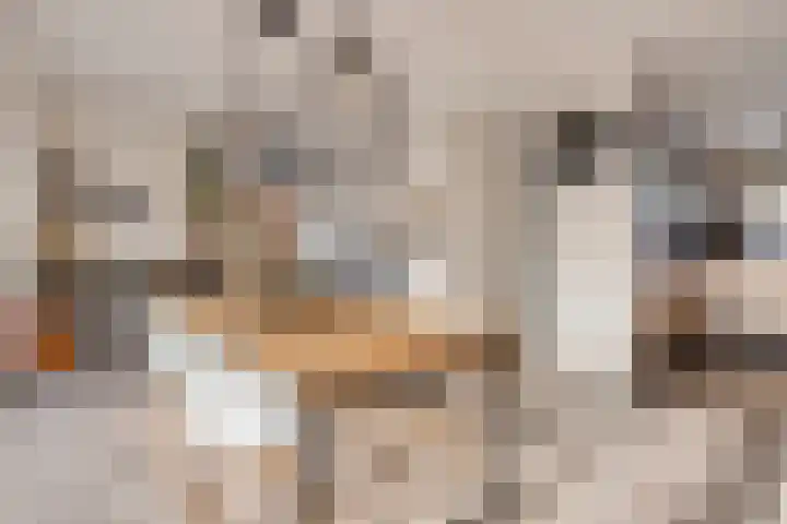 Sint Michaëllaan 24 Herten thumbnail 15