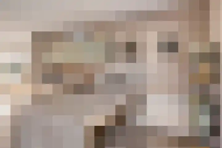 Sint Michaëllaan 24 Herten thumbnail 18