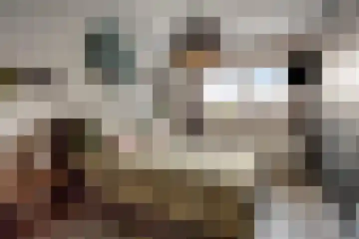 Sint Michaëllaan 24 Herten thumbnail 21