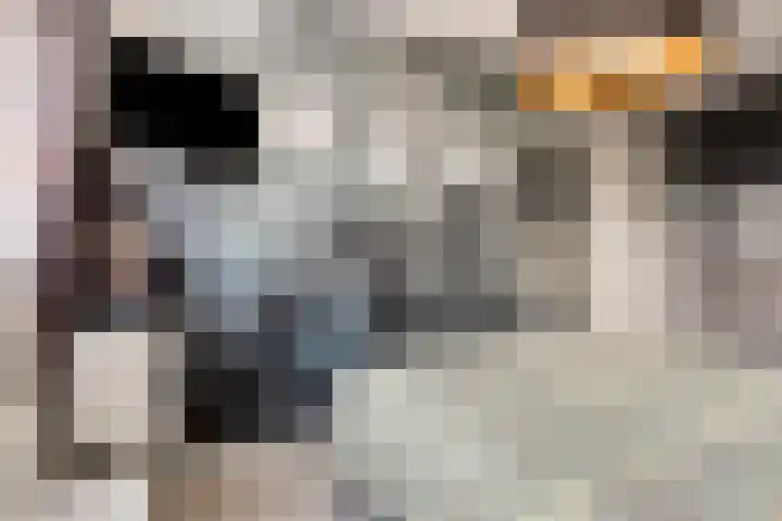 Sint Michaëllaan 24 Herten thumbnail 22