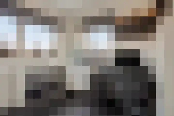 Sint Michaëllaan 24 Herten thumbnail 27