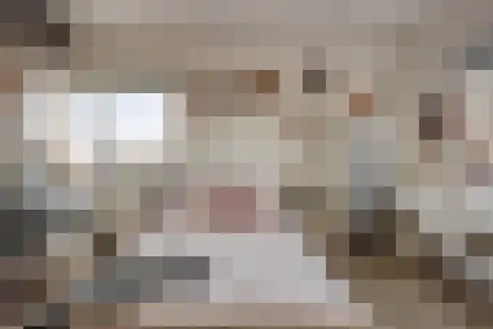 Sint Michaëllaan 24 Herten thumbnail 29