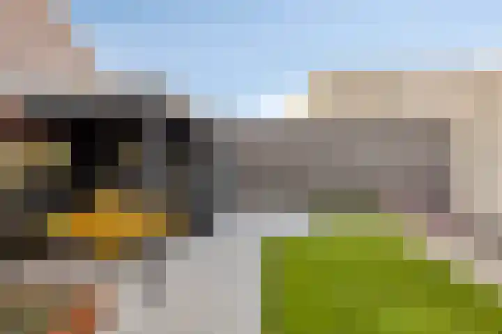 Sint Michaëllaan 24 Herten thumbnail 34