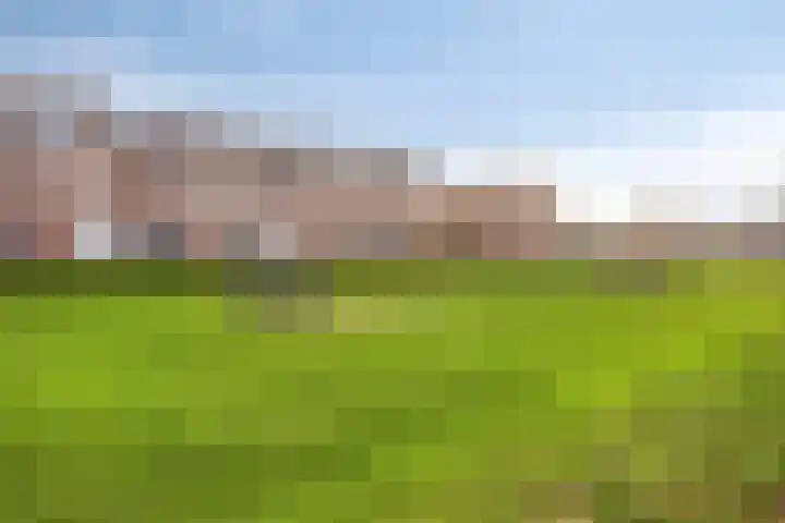Sint Michaëllaan 24 Herten thumbnail 42