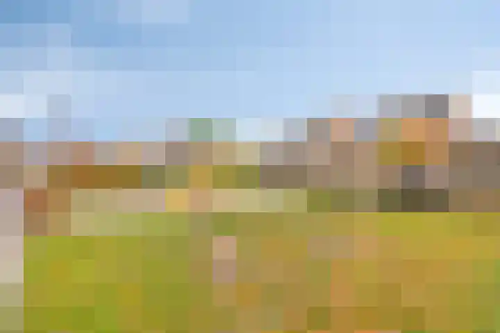 Sint Michaëllaan 24 Herten thumbnail 43