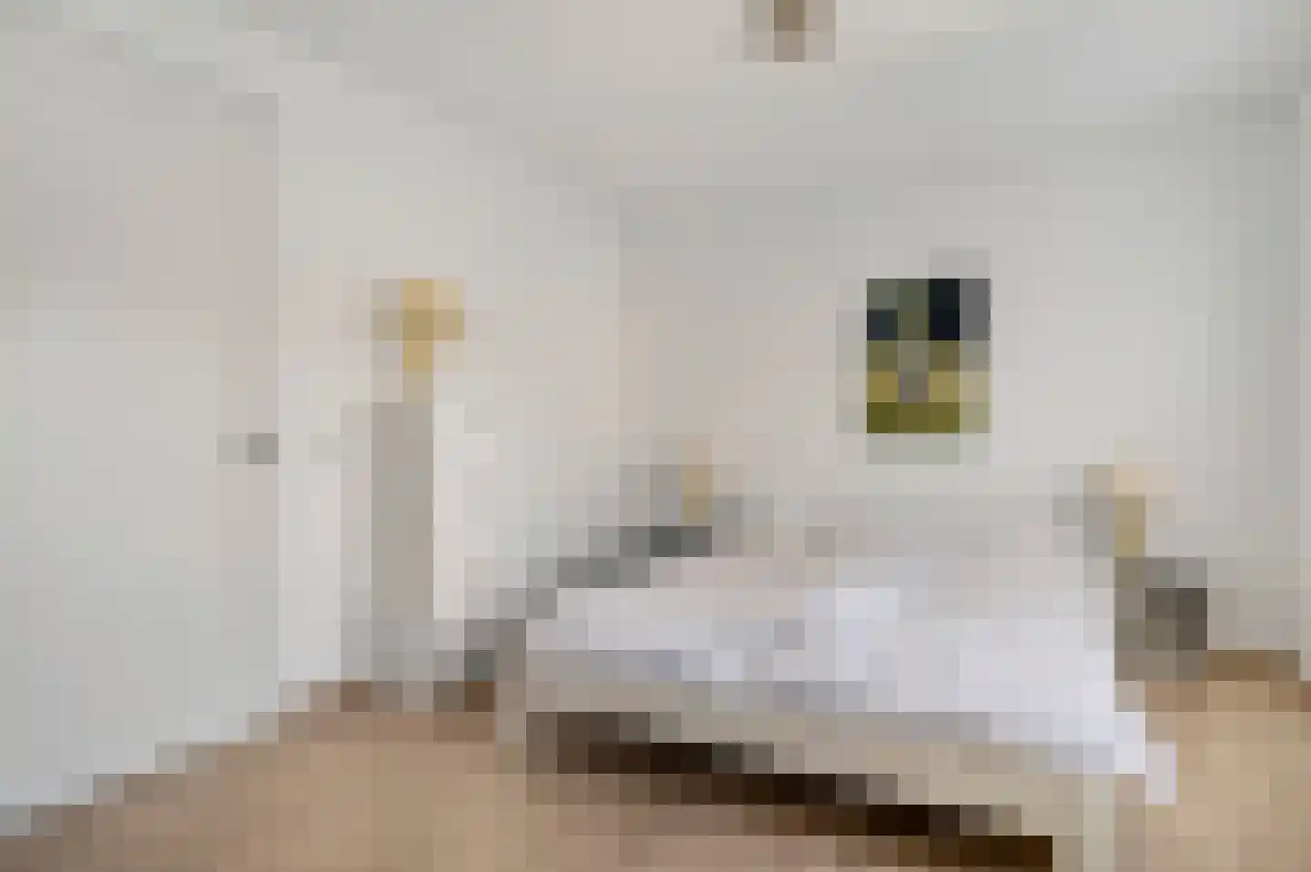 Sint Michaëllaan 3 Herten thumbnail 18