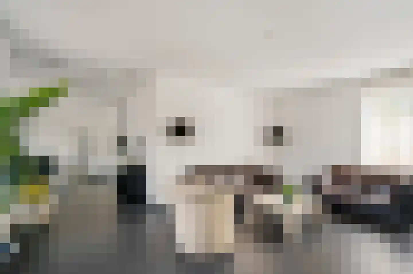 Sint Michaëllaan 3 Herten thumbnail 6