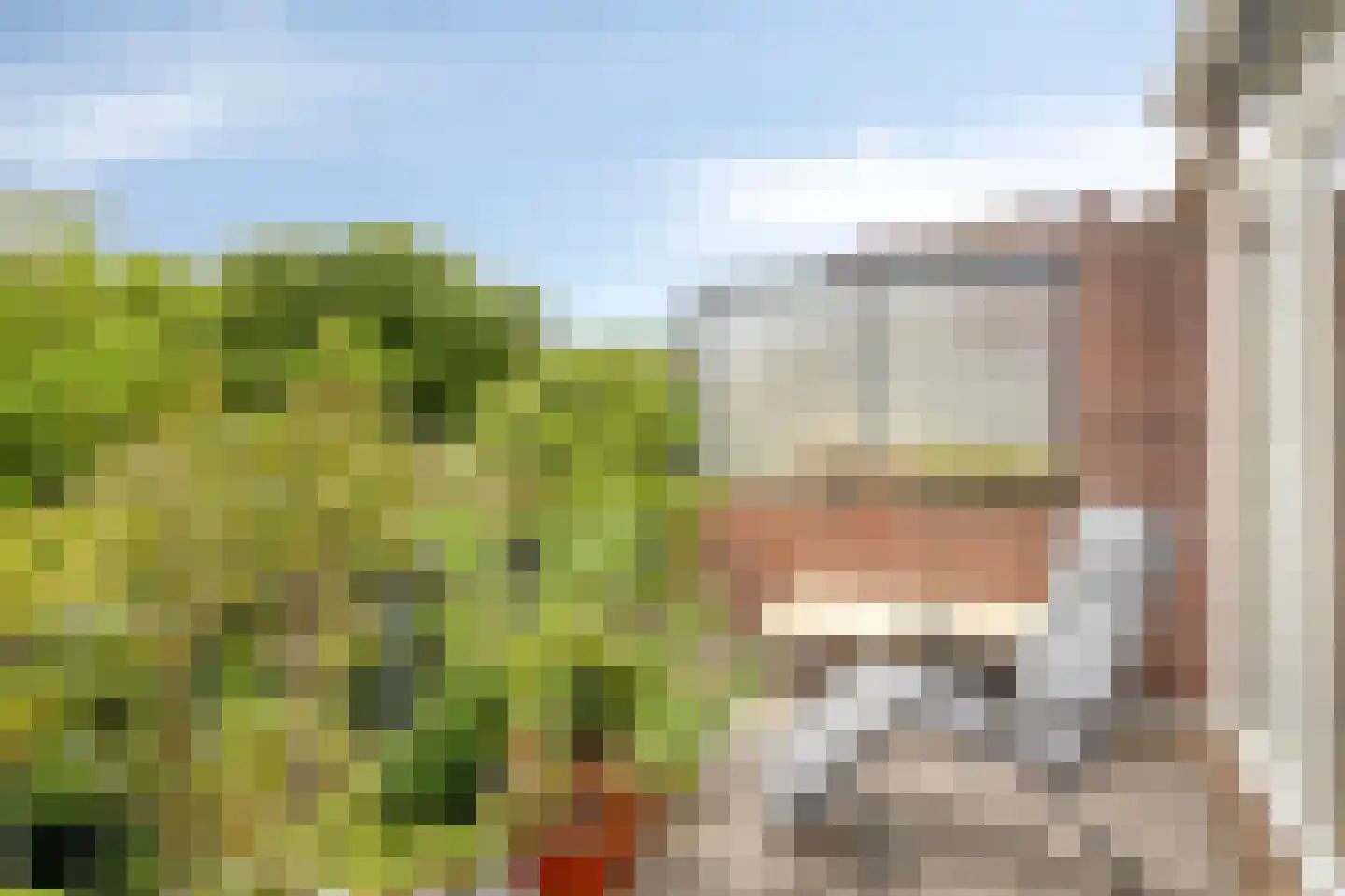 Sint Monulphusweg 10 Maastricht thumbnail 18