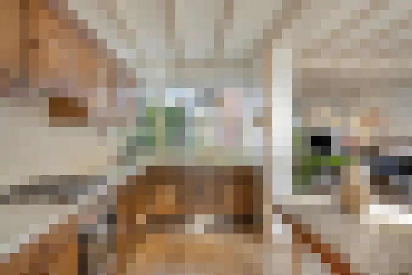 Sint Nicasiusstraat 3 Heeze thumbnail 15