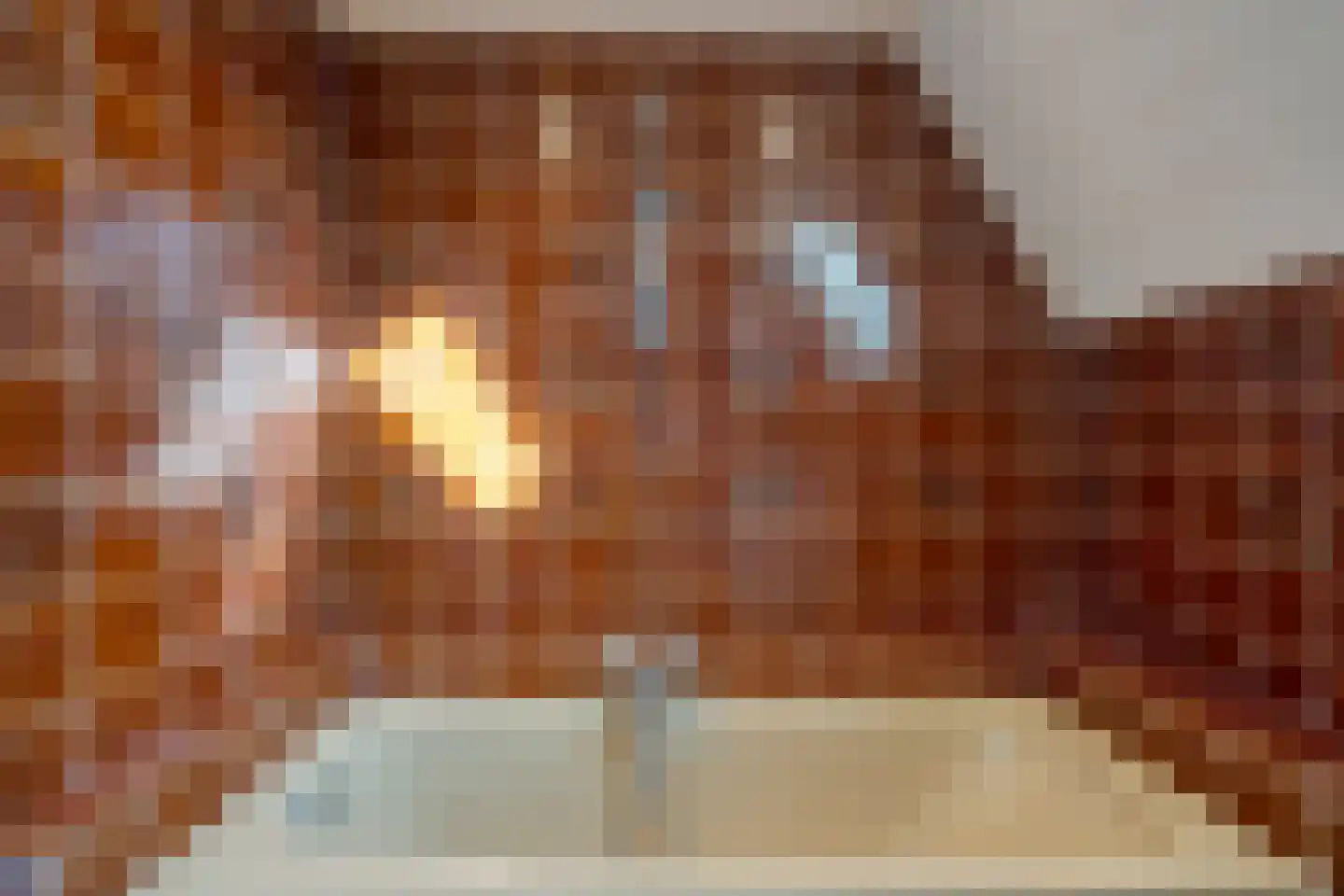 Sint Nicasiusstraat 3 Heeze thumbnail 30