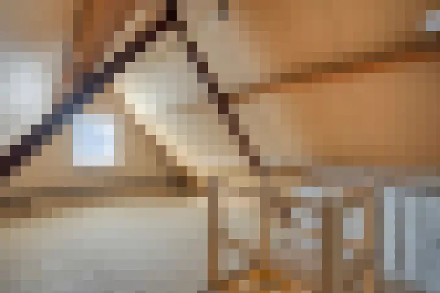 Sint Nicasiusstraat 3 Heeze thumbnail 32