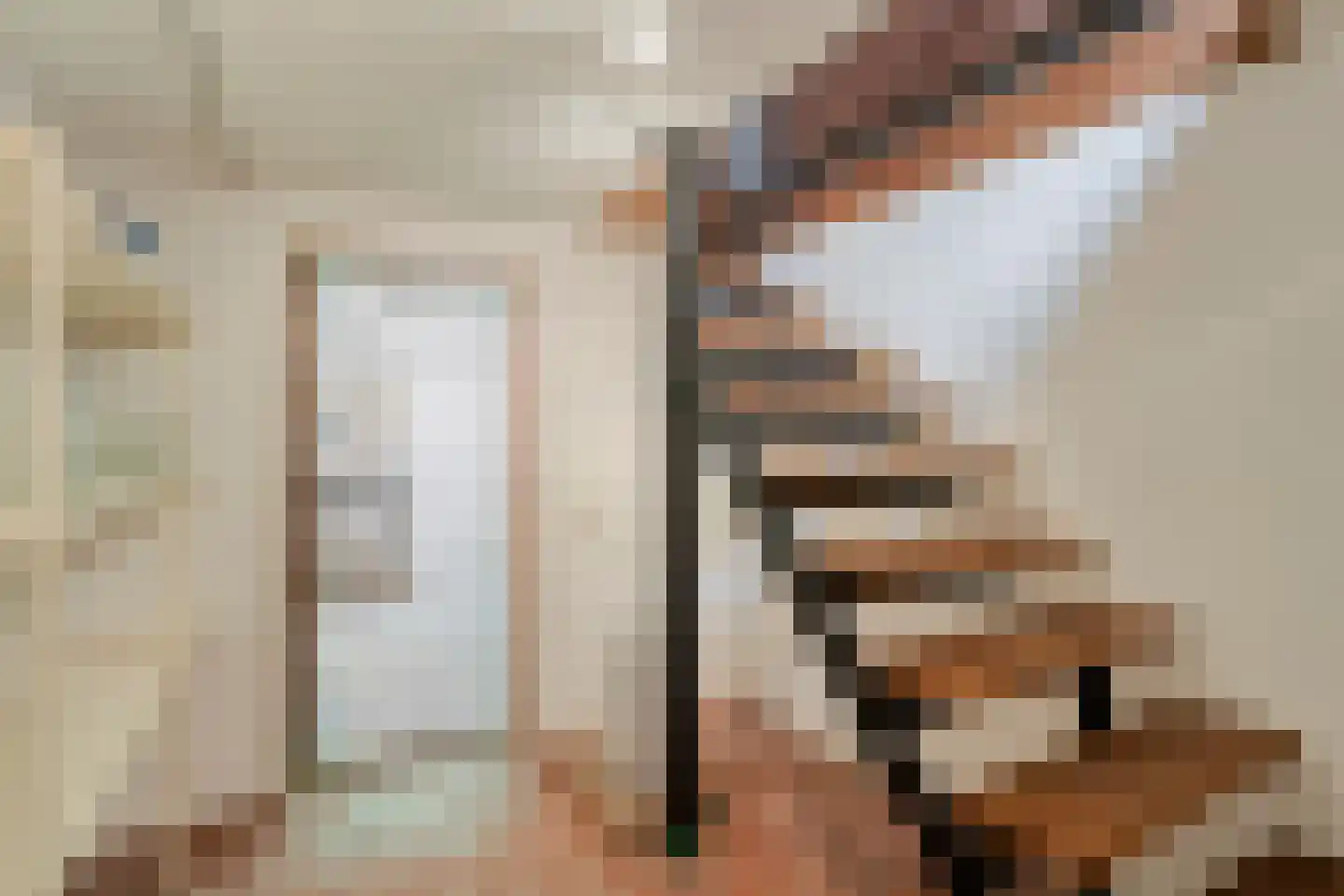 Sint Nicasiusstraat 3 Heeze thumbnail 33