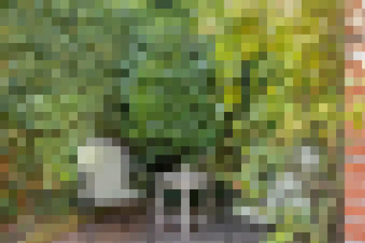 Sint Nicasiusstraat 3 Heeze thumbnail 38