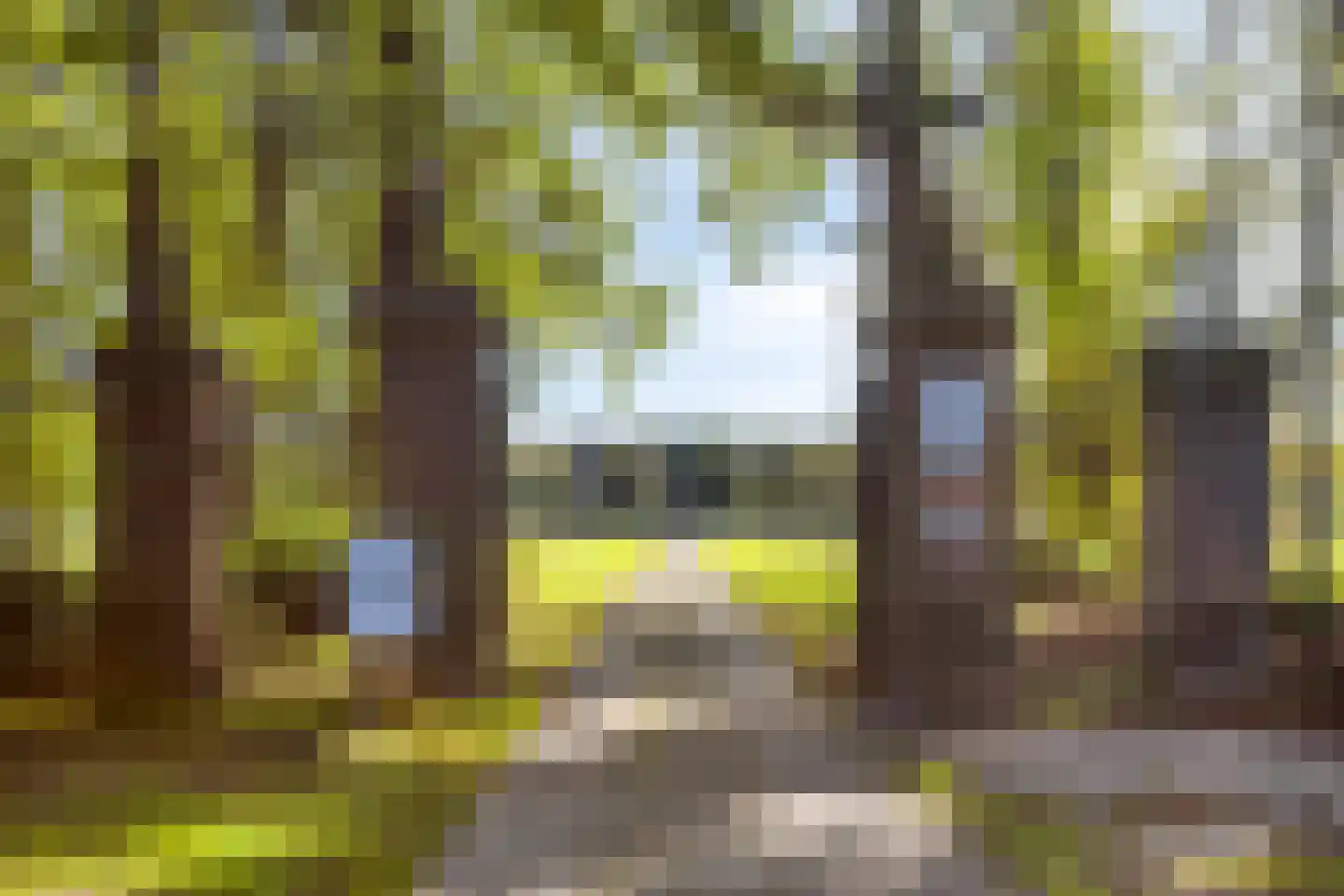 Sint Nicasiusstraat 3 Heeze thumbnail 43