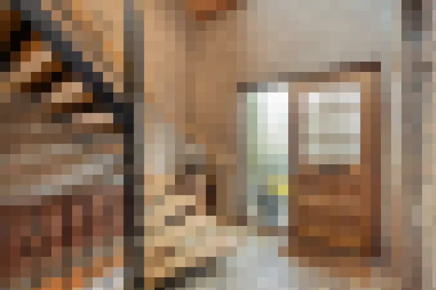 Sint Nicasiusstraat 3 Heeze thumbnail 6