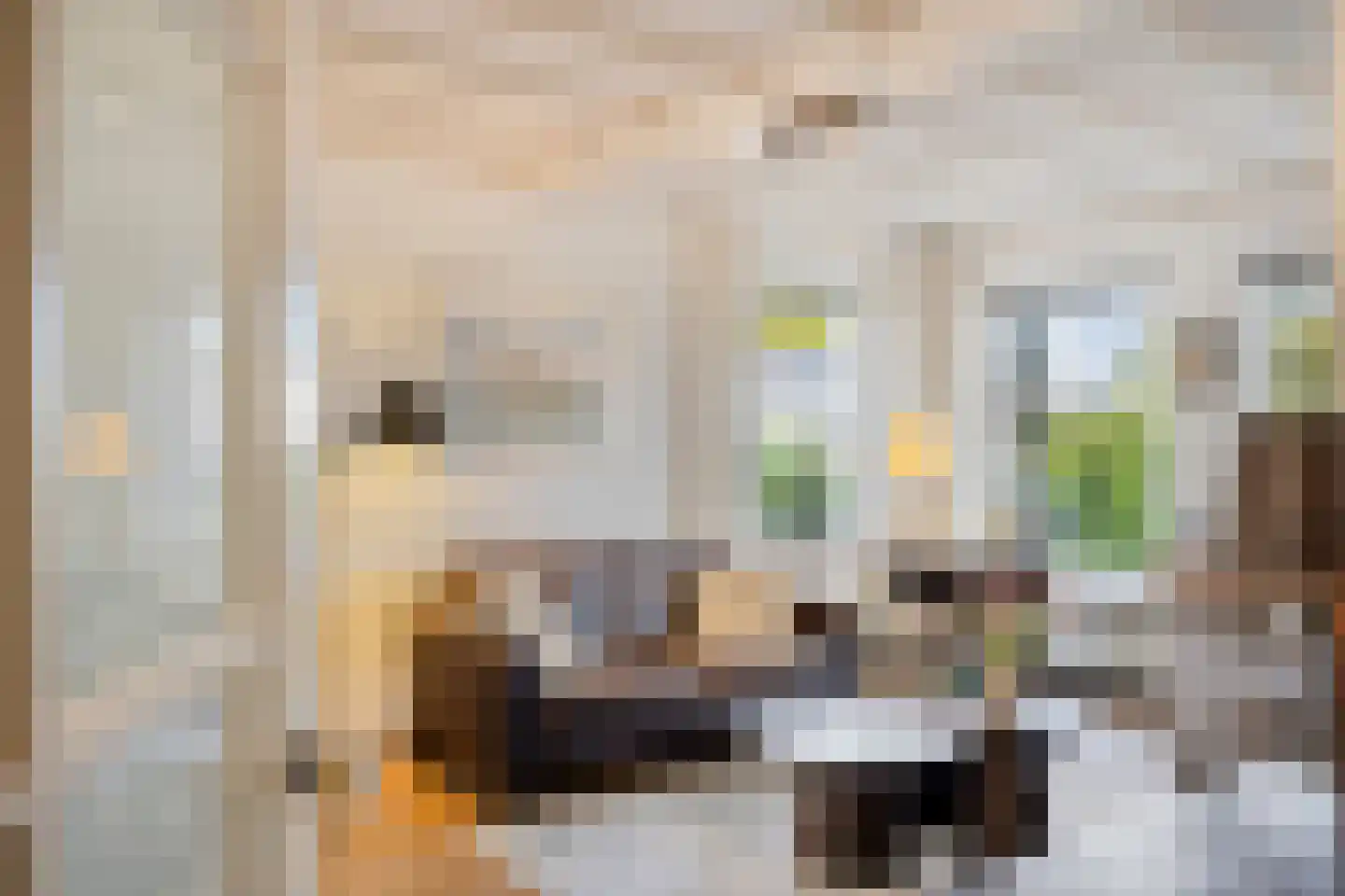 Sint Nicasiusstraat 3 Heeze thumbnail 8