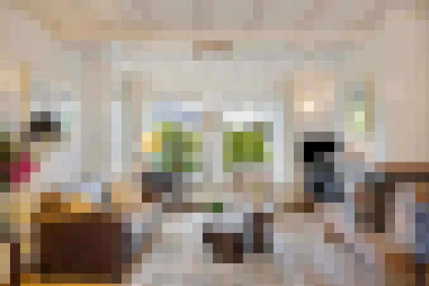 Sint Nicasiusstraat 3 Heeze thumbnail 9